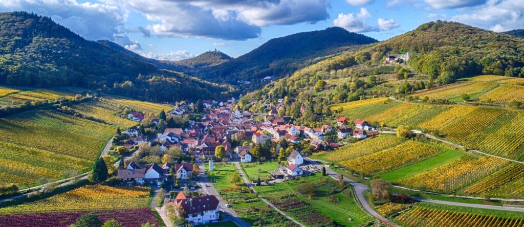 Blick auf Leinsweiler und die Weinberge